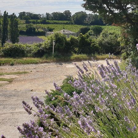 Le Clos Du Grand Chene - Gites 4 Etoiles - Saint-Marcel-d'Ardeche Ngoại thất bức ảnh