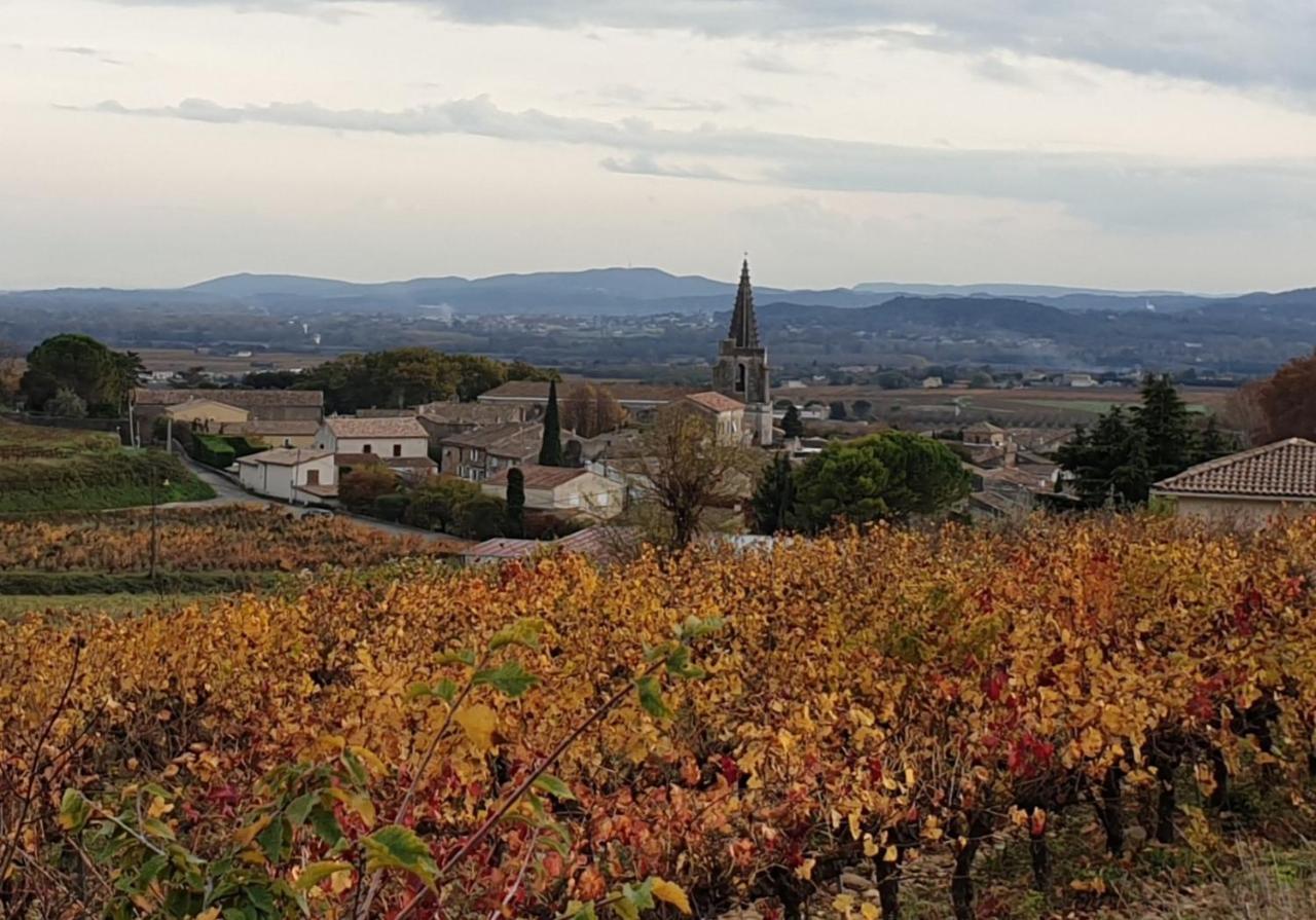 Le Clos Du Grand Chene - Gites 4 Etoiles - Saint-Marcel-d'Ardeche Ngoại thất bức ảnh