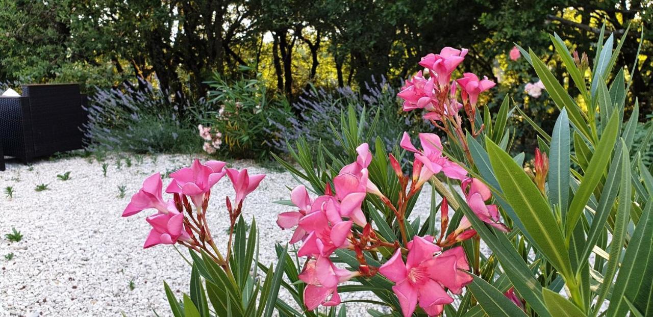Le Clos Du Grand Chene - Gites 4 Etoiles - Saint-Marcel-d'Ardeche Ngoại thất bức ảnh
