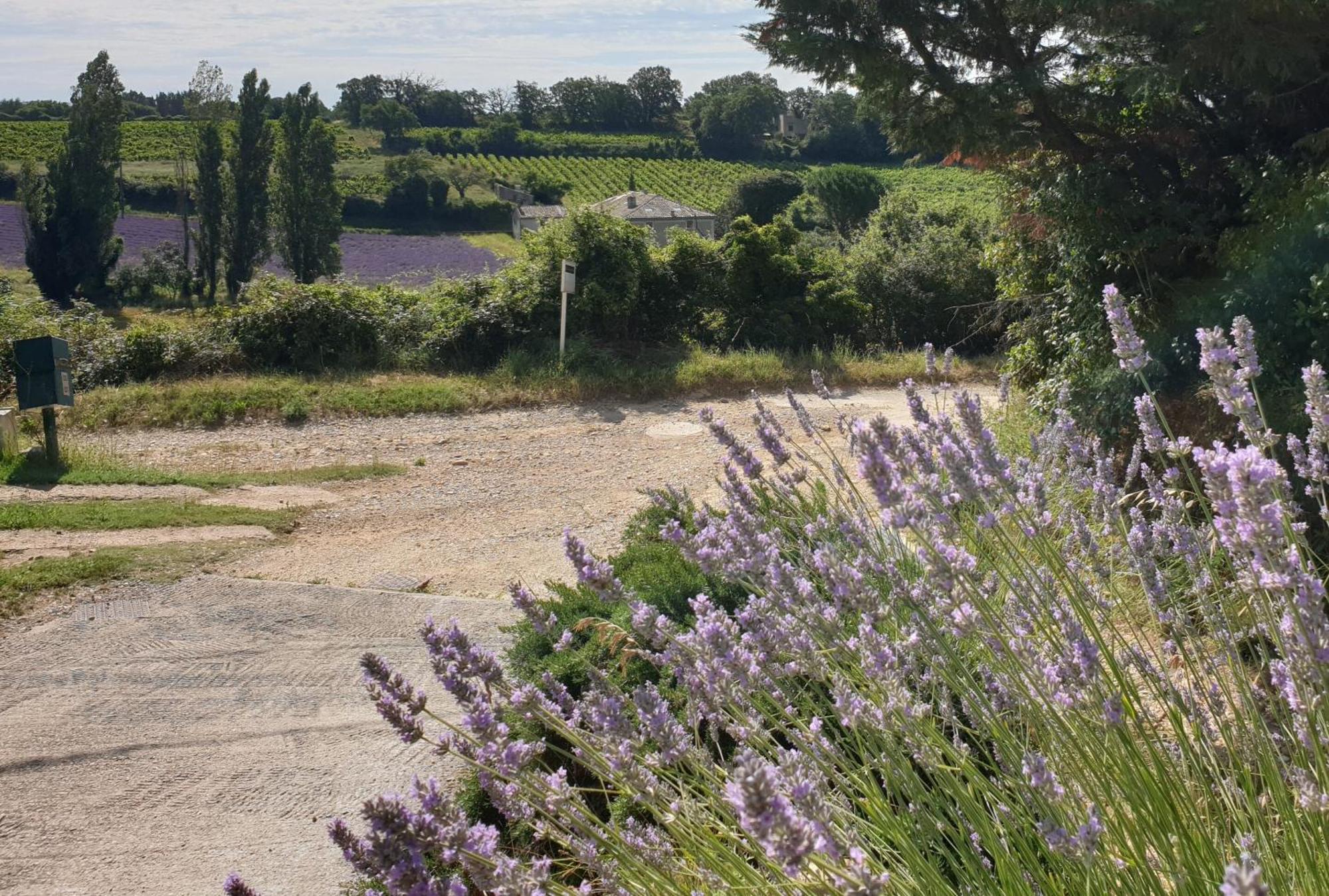 Le Clos Du Grand Chene - Gites 4 Etoiles - Saint-Marcel-d'Ardeche Ngoại thất bức ảnh